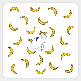 Cat no like banana Sticker